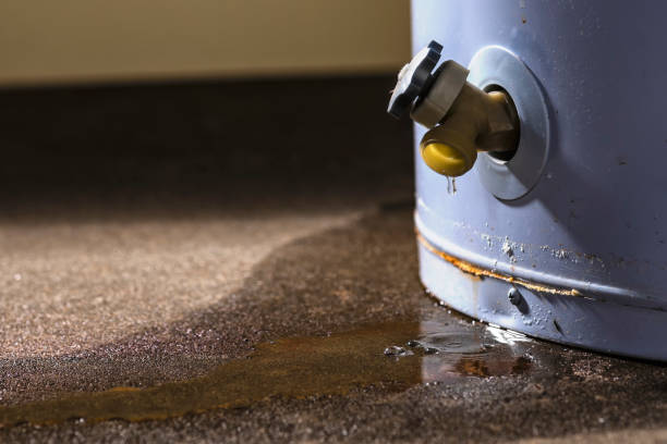 Best Ceiling water damage repair  in Double Springs, AL