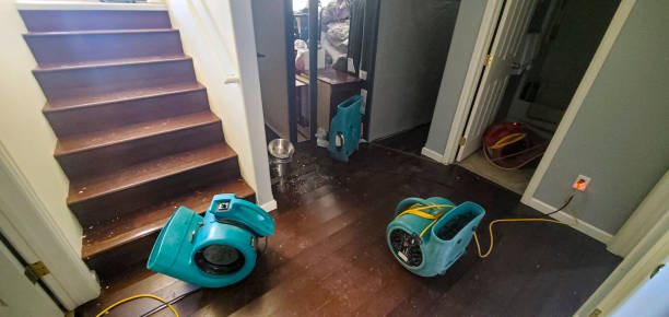 Best Water damage contractors near me  in Double Springs, AL