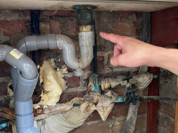 Best Fire Damage Restoration  in Double Springs, AL