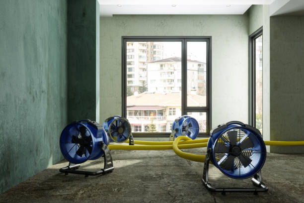 Best Commercial water damage restoration  in Double Springs, AL