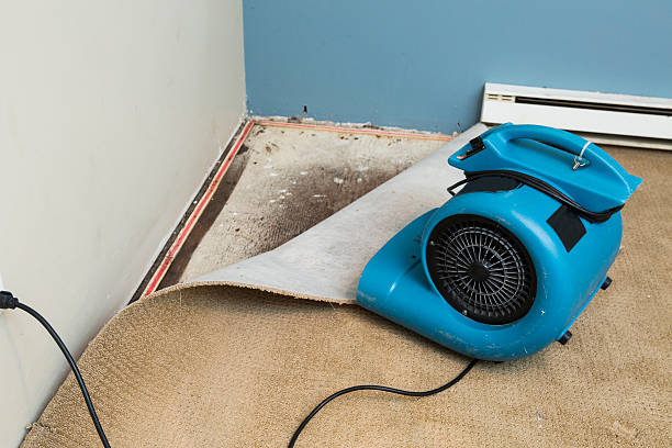 Best Water damage cleanup near me  in Double Springs, AL