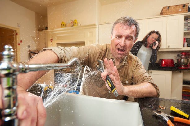 Best Basement water damage restoration  in Double Springs, AL